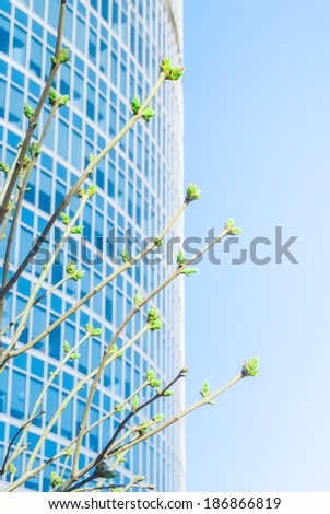 Vivid photo of green buds against office building in spring. Conceptual metaphor of innovation, startup and economic growth.