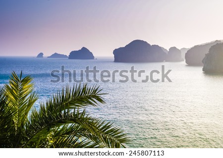 ocean and rocks in distance, silhouette of palm tree in the forefront, purple sunset