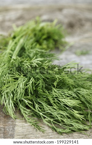bunch of fresh dill herb on wood