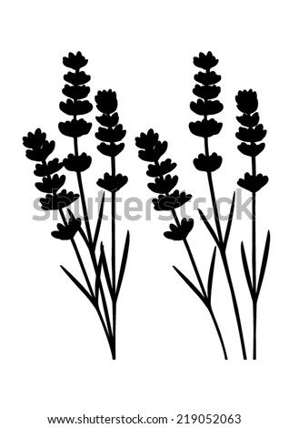 Bunch of lavender flowers and lavender flowers separated black silhouette vector Bunch of lavender flowers and lavender flowers separated black silhouette vector