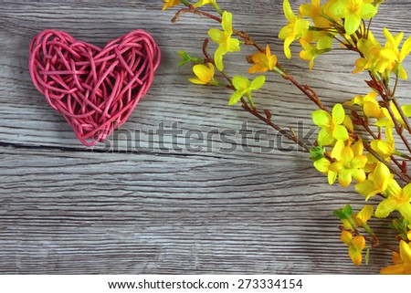 Love heart on wooden background with Laburnum blossom - love card, valentine card, mothers day card, fathers day card - love background - space for text
