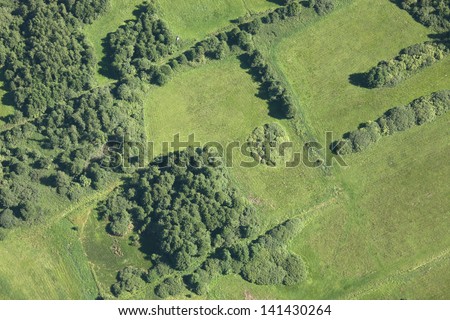Aerial view of summer field
