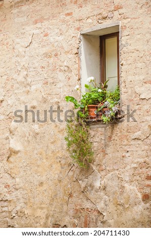 Beautiful flowers in the Italian window, Tuscany