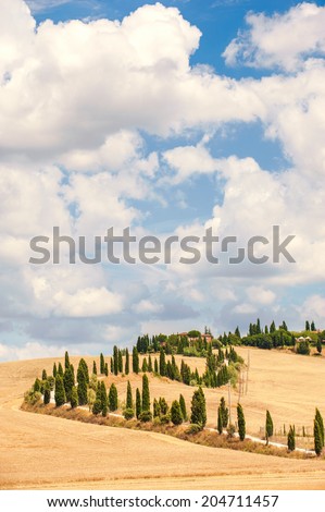 Typical Tuscan road surrounded by cypress trees and fields in summer, Italy