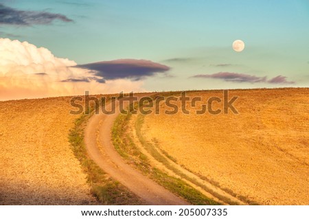 Full moon in the blue sky and the golden field