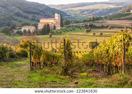 Monastery Sant\'Antimo in the vineyards of Brunello, near Montalcino, Italy