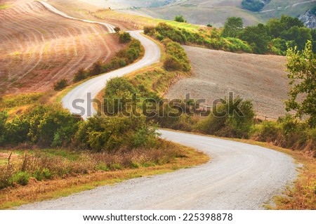 Curving road between fields and trees