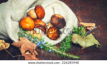 Forest mushrooms in the rural bag