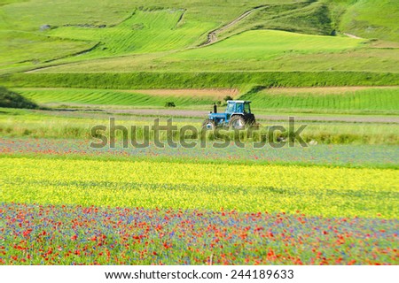 Tractor growing green spring colorful field.