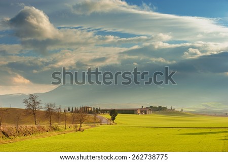 Spring wonderful landscape, green fields, sunrise and sunset, fields and trees.