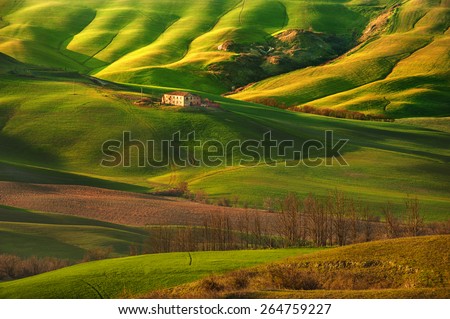 Beautiful green field and the Tuscany landscape