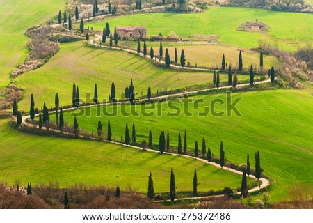 Tuscan way home in the shape of S