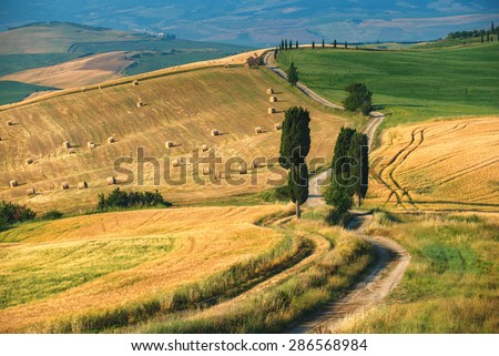 Classic Tuscan winding road in summer landscape
