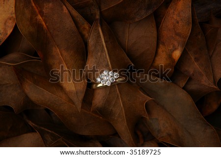 engagement and wedding ring, autumn wedding concept