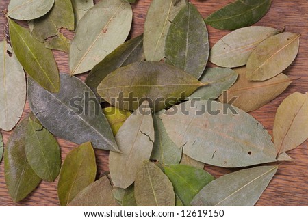 Coca Leaves on wooden table