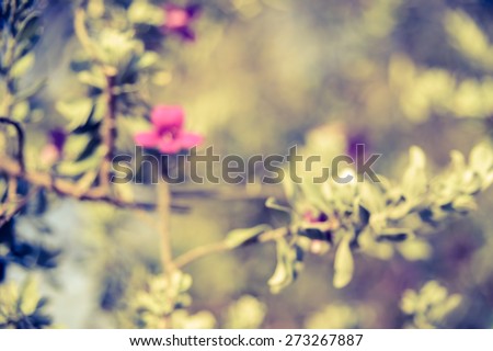 beautiful defocused violet flowers abstract nature background with green leaves violet flowers and bokeh light vintage effect