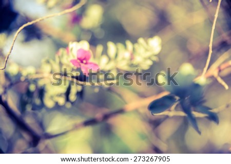beautiful defocused violet flowers abstract nature background with green leaves violet flowers and bokeh light vintage effect