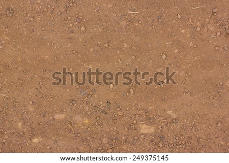 Red soil texture background, dried clay surface