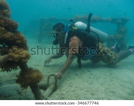 TIOMAN ISLAND, MALAYSIA - 10 JUN 2015 : Marine biologist dive at newly planted artificial reef on Jun 10 2015.