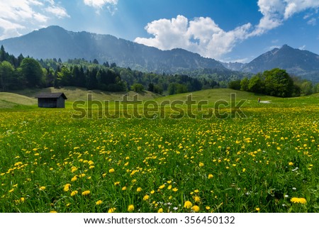 Beautiful alpine landscape with green meadows, alpine cottages and mountain peaks in Nenzing, Austria.