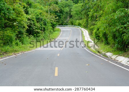 Asphalt roads in the forest and turn left