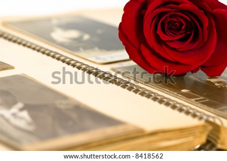 Old photo album and red rose