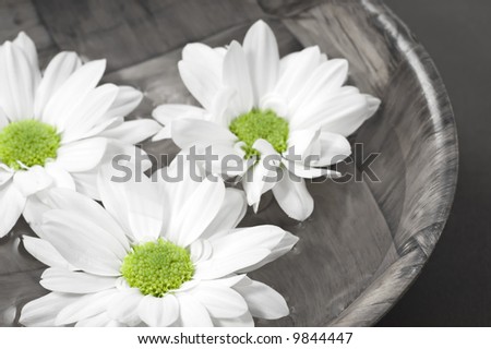 Bowl of water with flowers. Colors toned down on bowl.