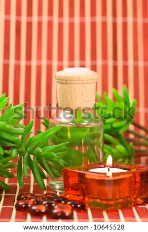 Spa still life. Aromatherapy bottle, candle, glass pebbles and green plants on bamboo
