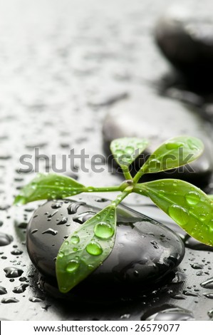 Green leaf and spa stones with water drops on dark wooden surface