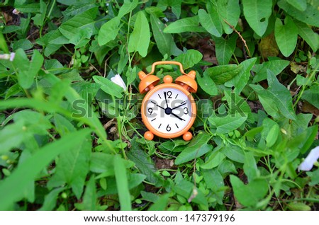 Clock in the grass/  Small alarm clock standing in the green grass.