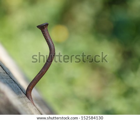 curve of a rusty nail sticking out of the board on a background of green plants
