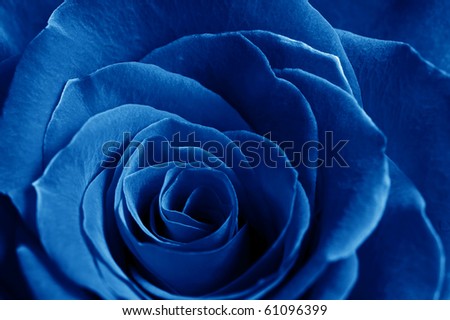 Blue Rose Symbol