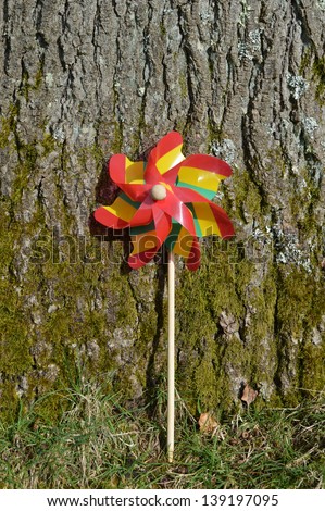 Colorful Striped Pin-wheel against a Tree