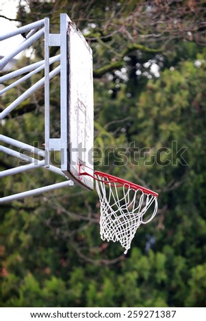Old Basketball Hoop on a Green Background