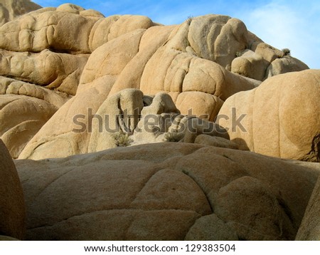 Desert Rock.