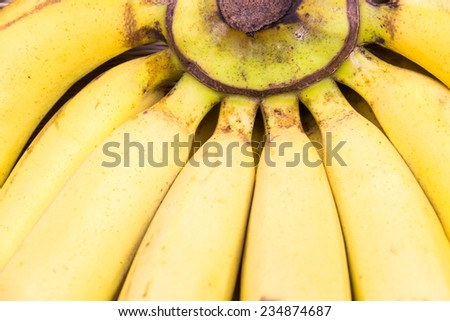 Close up texture bananas