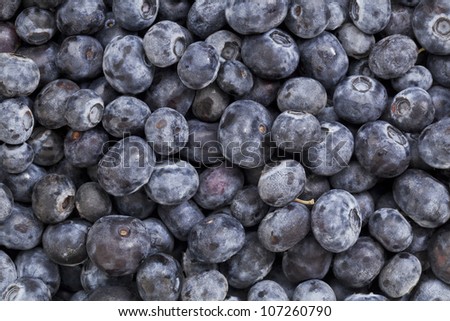 macro of fresh organic blueberry berries - texture background