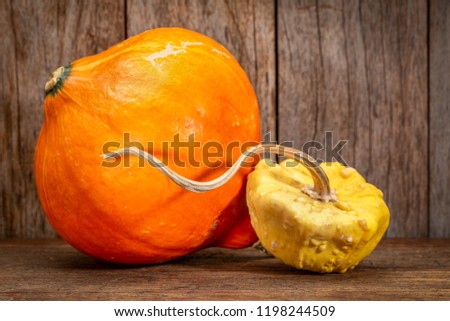 red kuri winter squash and ornamental gourd against rustic wood - fall holidays decoration