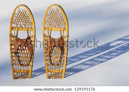 a pair of classic Bear Paw wooden snowshoes cast shadow in snow