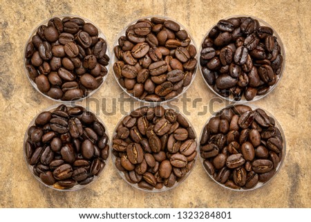 sampler of coffee beans from different parts of the world - overhead view of  round bowls against handmade textured paper