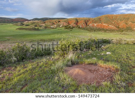 Colorado mountain ranch in early summer with ant cone nest - Red Mountain Open Space near Fort Collins