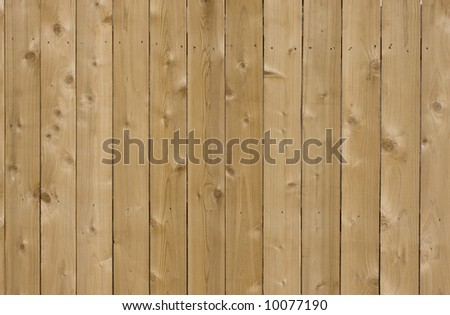 new cedar wood fence background in sunlight