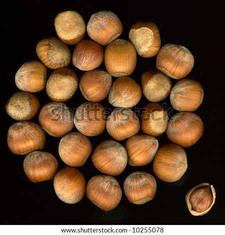 hazelnuts in shells on black with one cracked nut apart - being different