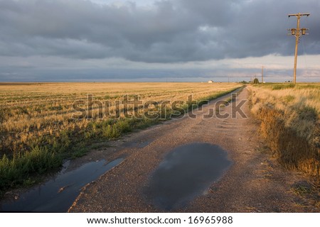 dirt farm road in Colorado after heavy rain with harvested wheat fields in sunset light
