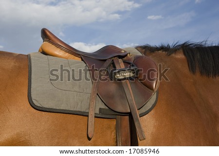 English style saddle, dusty after jumping training,  on a bay horse against sky