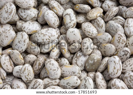 background of pinto beans with mottled skin, also known as \