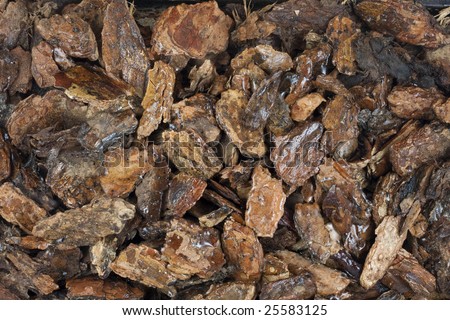background of damp western bark nuggets used for gardening and landscaping