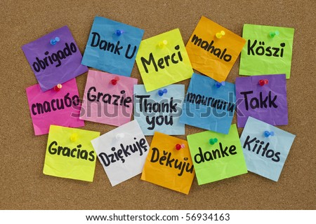 Thank you in sixteen languages - colorful sticky notes with handwriting on cork bulletin board