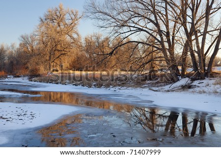 partially frozen Cache la Poudre River with cottonwood trees at Fort Collins, Colorado