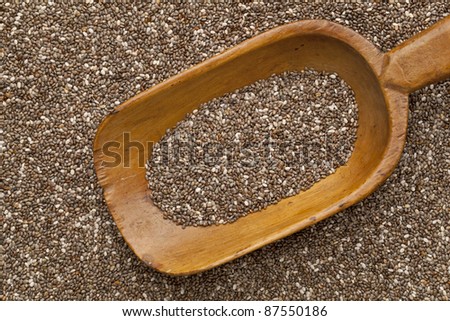 wooden rustic scoop and background of organic chia seeds rich in omega-3 fatty acids